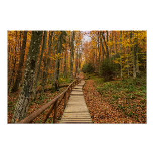 Poster Traverser la forêt d'automne.