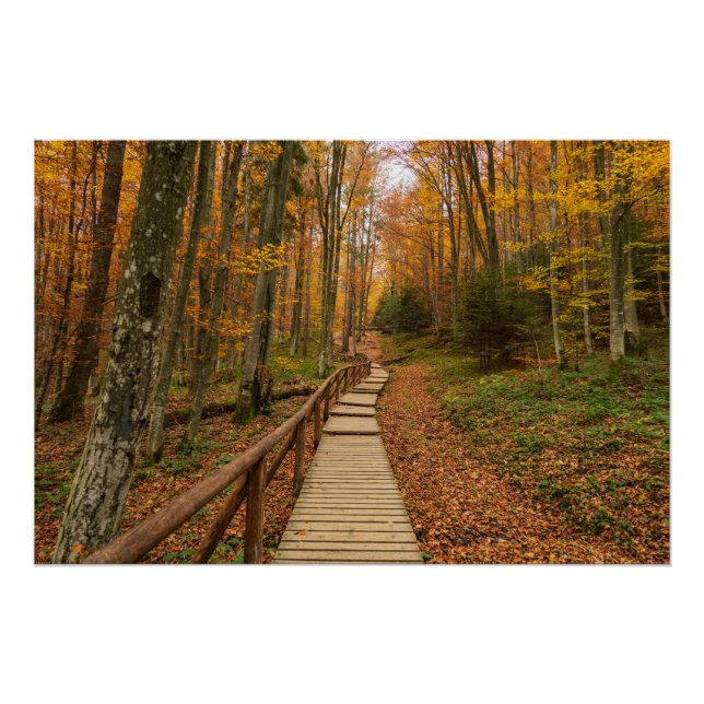 Poster Traverser la forêt d'automne. (Devant)