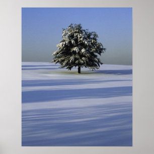 Poster Tree in snow covered landscape