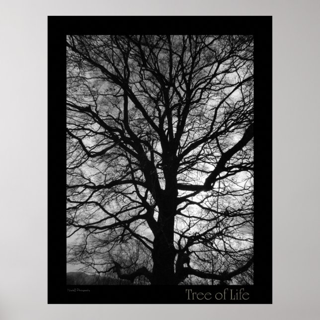 Poster Tree of Life (Devant)
