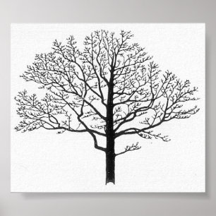 Poster Tree Silhouette