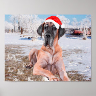 Poster Très Beau Chien Danse Assis Dans Le Casquette De N