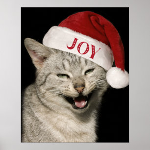 Poster Très drôle Père Noël Chat Rire Photo Noël