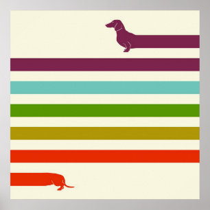 Poster Très Long Dachshund Coloré Amateur de Husky