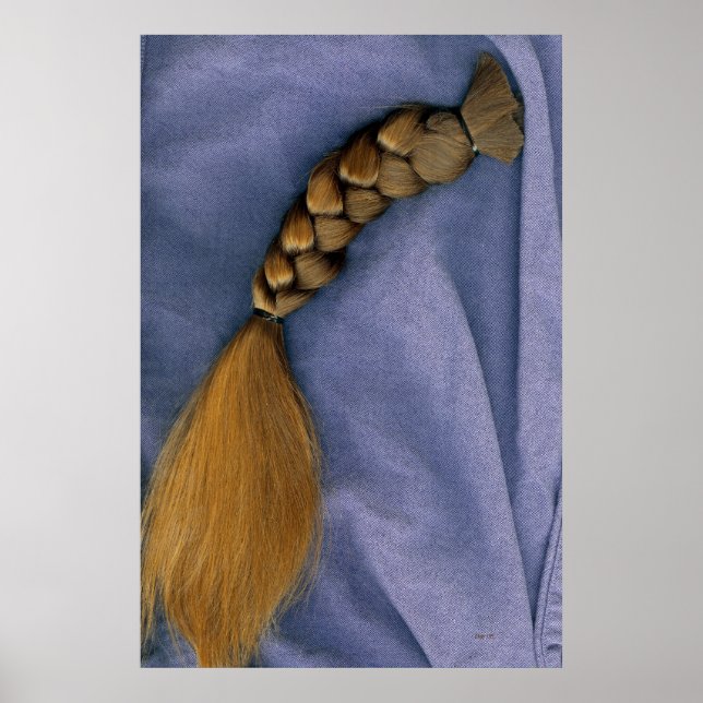 Poster Tresse (Devant)