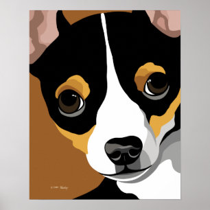 Poster Tri chiwawa de couleur