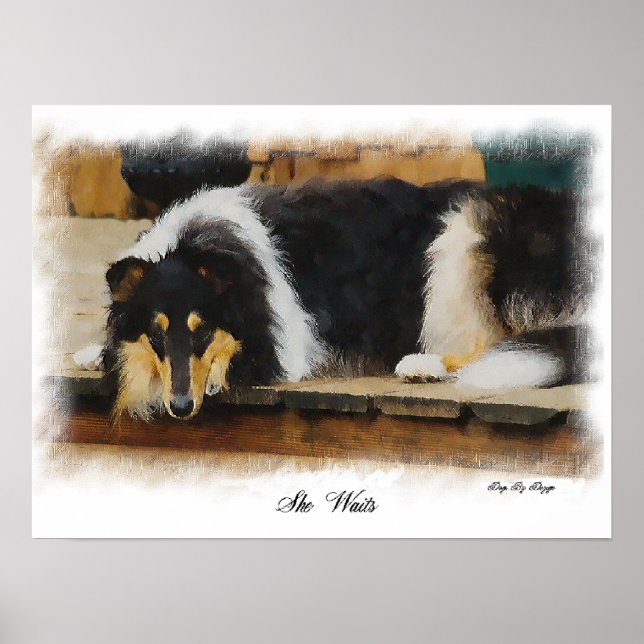 Poster Tri Color Rough Collie Cadeaux Art (Devant)