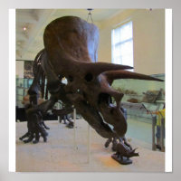 Tricératops