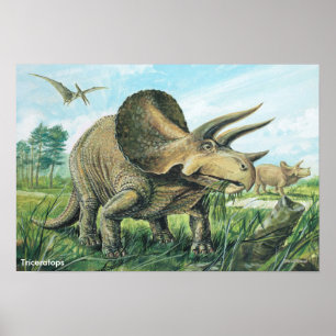 Poster Triceratops