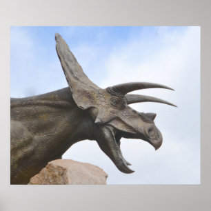 Poster Tricératops Dinosaur