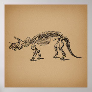 Poster Triceratops Dinosaur Skeleton Prehistoric Art
