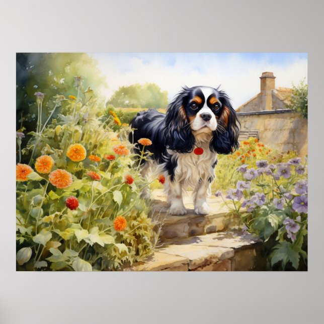 Poster Tricolore Cavalier King Charles Spaniel (Devant)