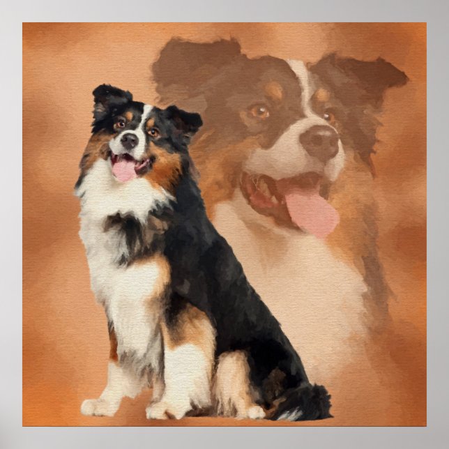 Poster Tricolore noir Australian Shepherd - Aussie (Devant)