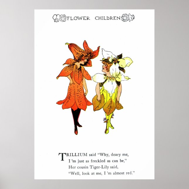 Poster Trillium et Tiger-Lily (Devant)