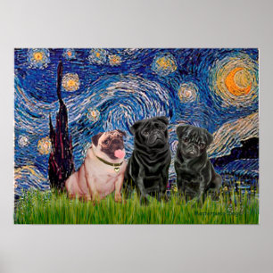 Poster Trio carlin (1F, 2B) - Nuit étoilée
