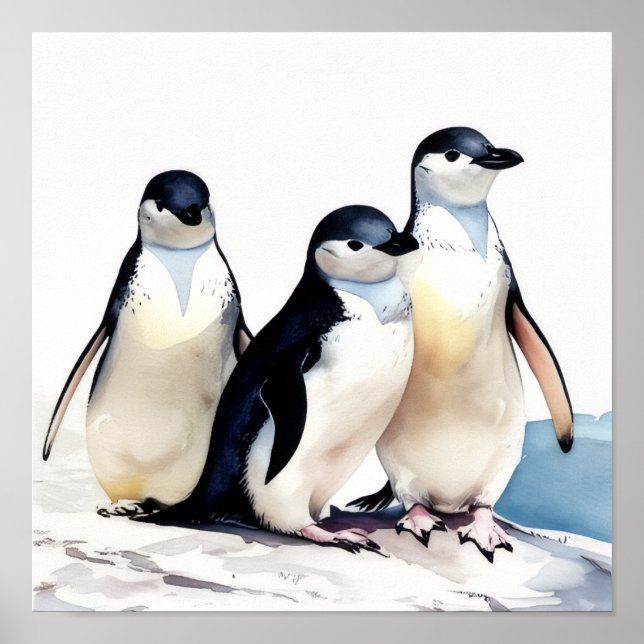 Poster Trio de pingouins (Devant)