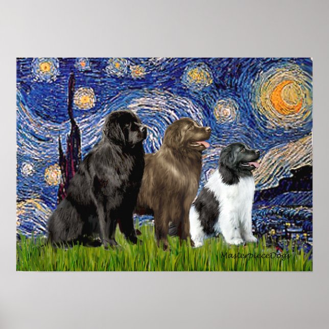 Poster Trio Newfie - Nuit étoilée (Devant)
