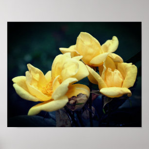 Poster Trio rose jaune