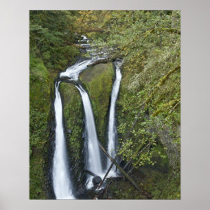 Poster Triple Falls, Columbia River Gorge