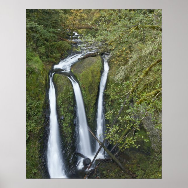 Poster Triple Falls, gorge de Columbia (Devant)