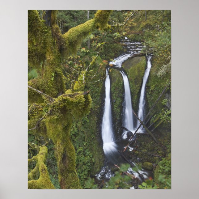 Poster Triple Falls, gorge de Columbia (Devant)