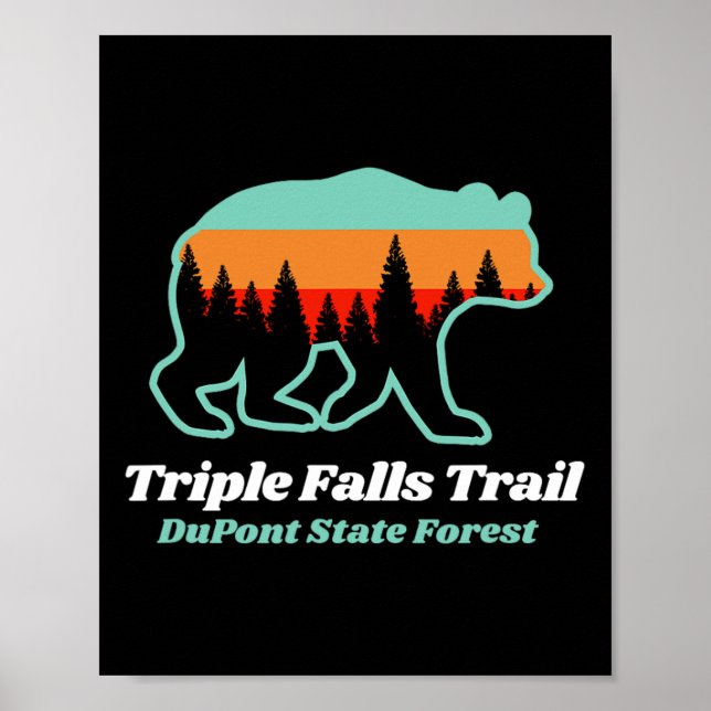 Poster Triple Falls Trail Dupont State Forest Bear Souven (Devant)