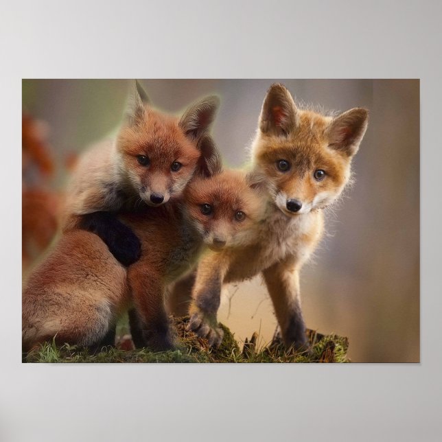 Poster Triplets Foxy (Devant)