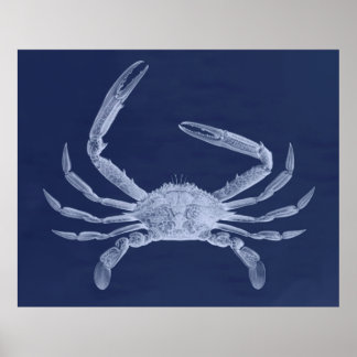 Poster Triptyque de crabe surdimensionné en bleu
