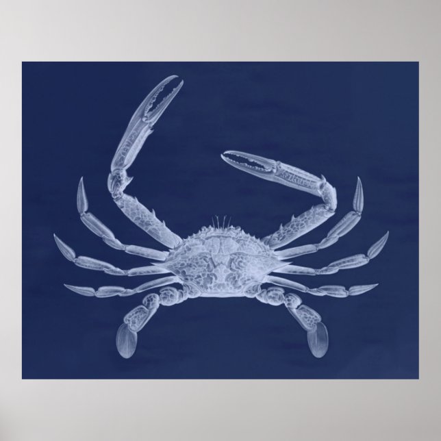 Poster Triptyque de crabe surdimensionné en bleu (Devant)