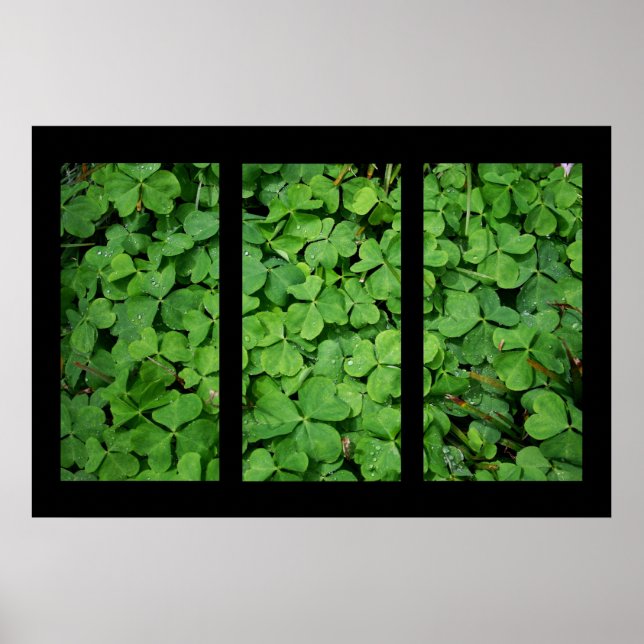 Poster Triptyque feuille de verglas (Devant)