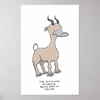 Poster trivia platylope