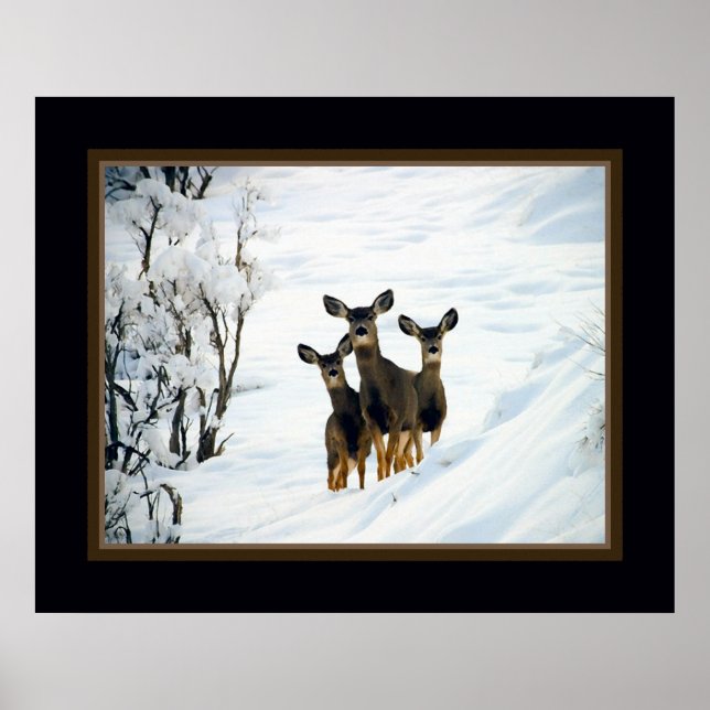 Poster Trois cerfs (Devant)