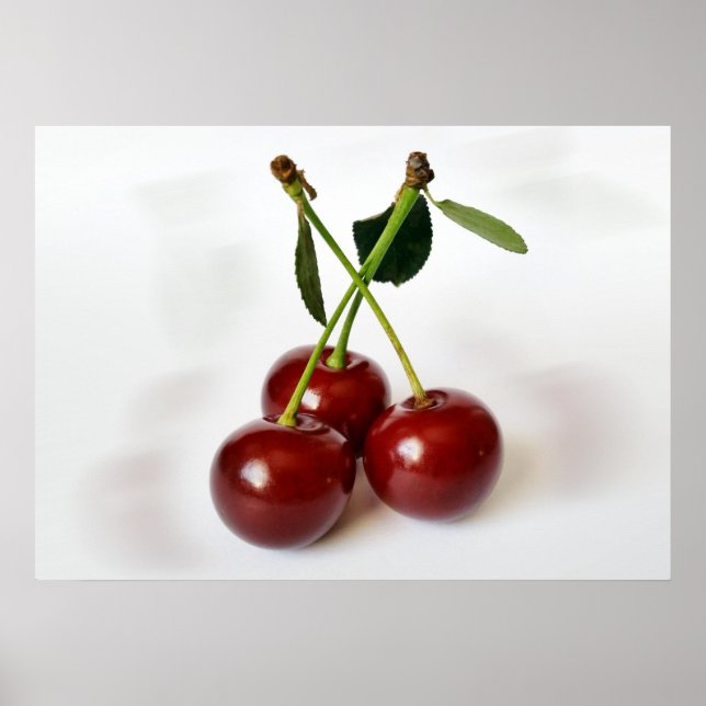 Poster trois cerises aigre (Devant)