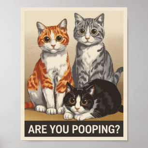 Poster trois chats et une question Poopez-vous ? Chat drô