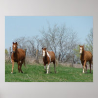 Trois chevaux