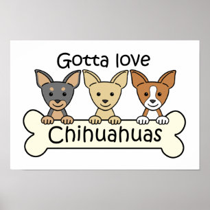 Poster Trois chiwawas