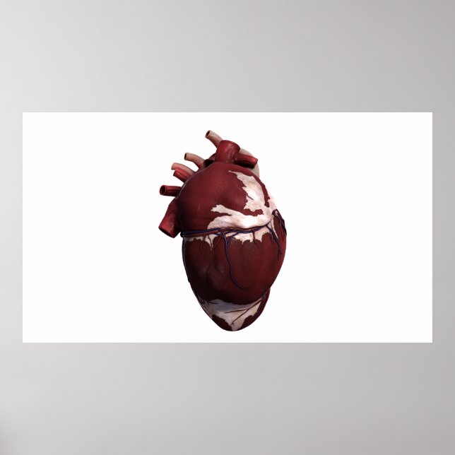 Poster Trois Dimensions Du Coeur Humain, Côté Gauche (Devant)