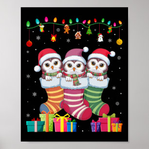Poster Trois hiboux des neiges en chaussettes drôles garç