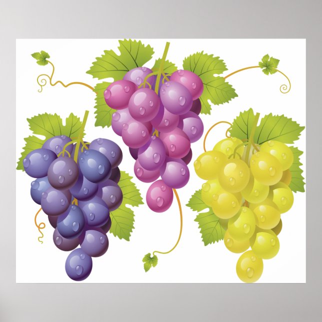 Poster Trois Jumeaux De Raisins (Devant)
