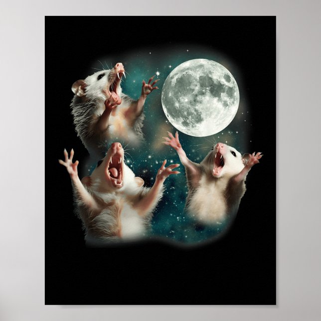 Poster Trois Lune Possum _ 3 Opossum Funny Bizarre Maudit (Devant)
