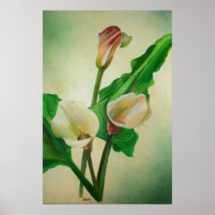 Poster Trois Lys Calla Étonnant Botanique Acrylique