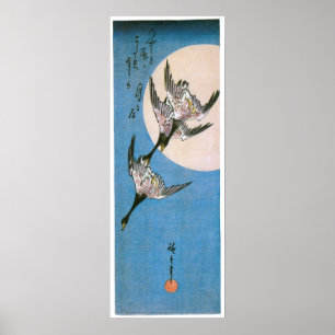 Poster Trois oies sauvages volant vers le bas