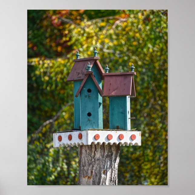 Poster Trois Oiseaux Turquoise (Devant)