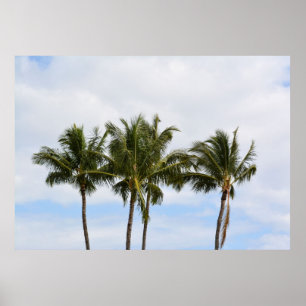 Poster Trois palmiers