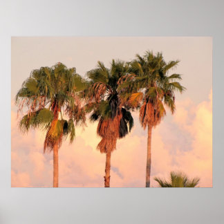 Poster Trois palmiers baignés par un coucher de soleil ch