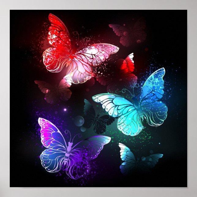 Poster Trois papillons lumineux sur fond de nuit (Devant)