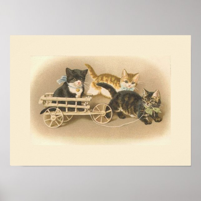 Poster Trois petits chatons (Devant)