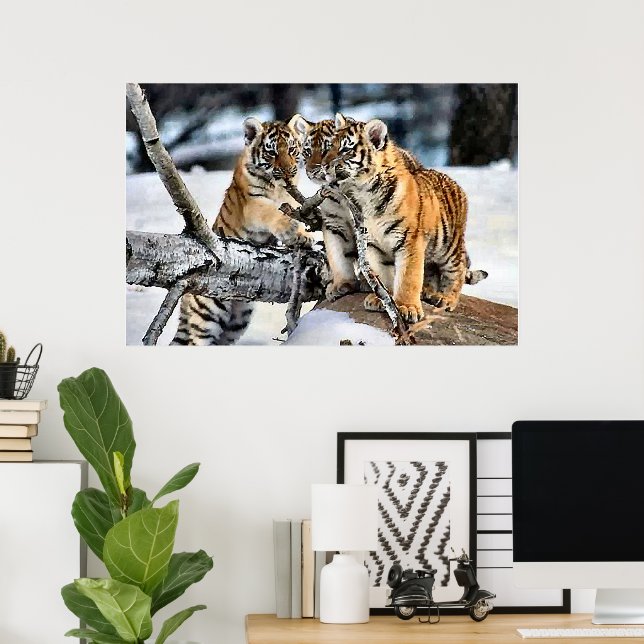 Poster Trois petits tigres en jeu (Bureau à domicile)