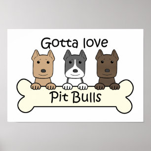 Poster Trois Pitbulls