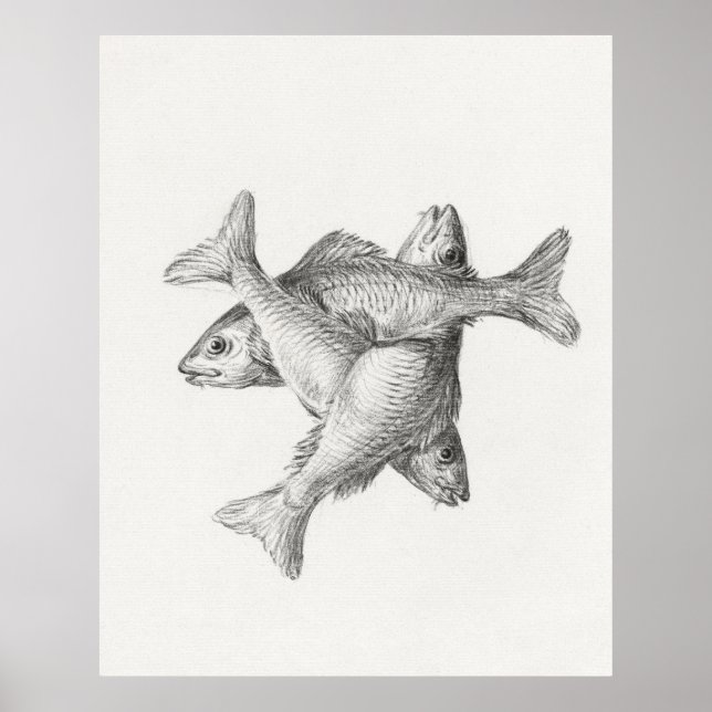 Poster Trois poissons (Devant)